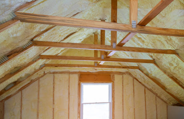 Best Eco-Friendly Insulation in Bartonville, TX